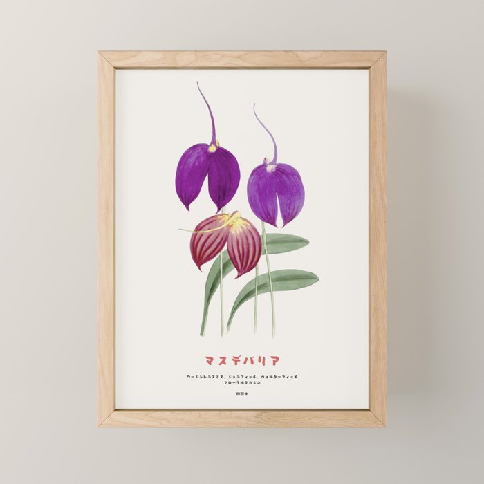 Vintage Masdevallia Flowers Mini Art Print Gallery Image 1