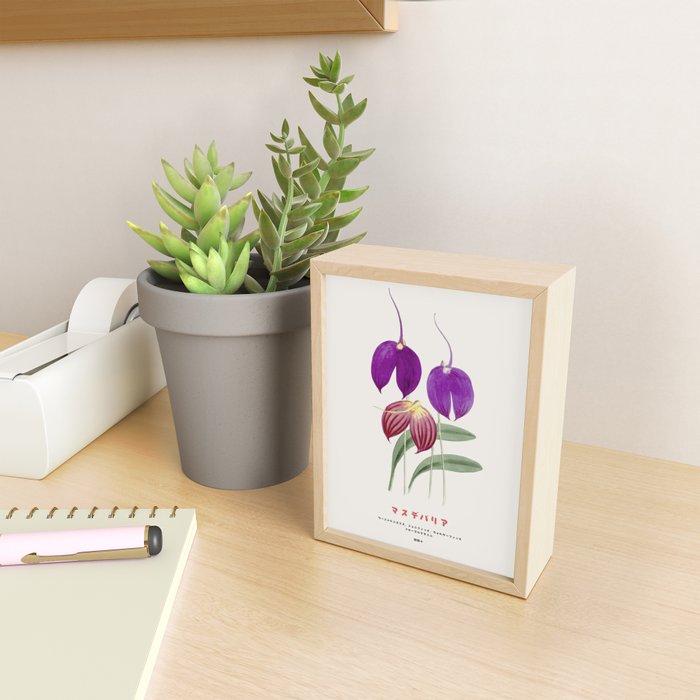 Vintage Masdevallia Flowers Mini Art Print Gallery Image 2