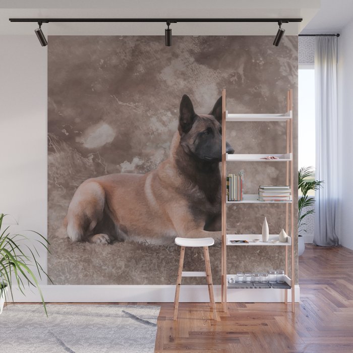 Malinois  Belgian shepherd - Mechelaar Wall Mural Gallery Image 1