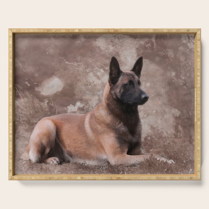 Malinois  Belgian shepherd - Mechelaar Serving Tray Gallery Image 1