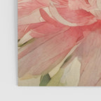 Pink germini dahlia flower 3 Poster Gallery Image 3