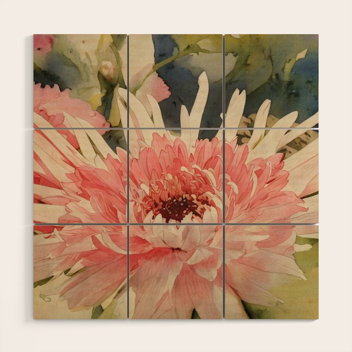 Pink germini dahlia flower 3 Wood Wall Art Gallery Image 1