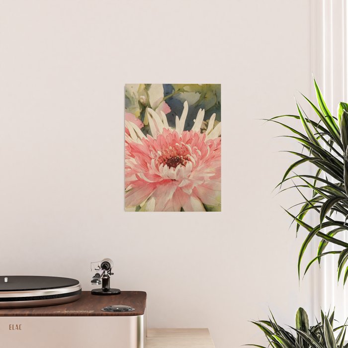 Pink germini dahlia flower 3 Poster Gallery Image 2