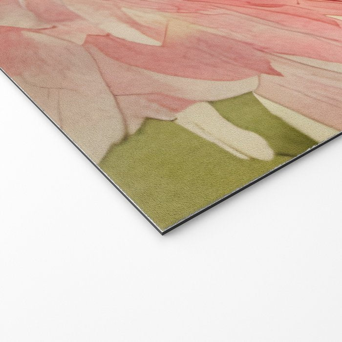 Pink germini dahlia flower 3 Welcome Mat Gallery Image 2