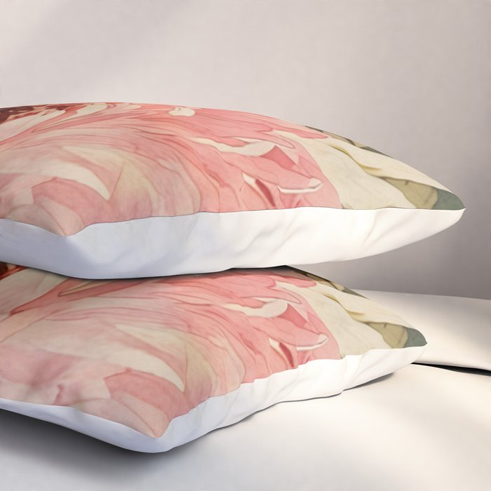 Pink germini dahlia flower 3 Pillow Sham Gallery Image 3