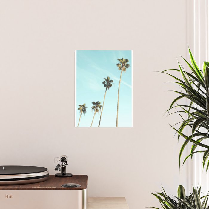 Palm Trees II Poster Gallery Image 2
