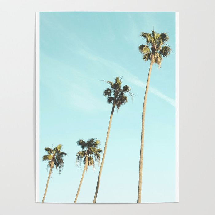 Palm Trees II Poster Gallery Image 1