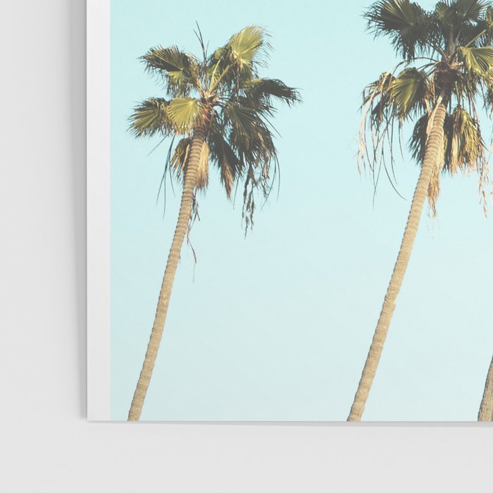 Palm Trees II Poster Gallery Image 3
