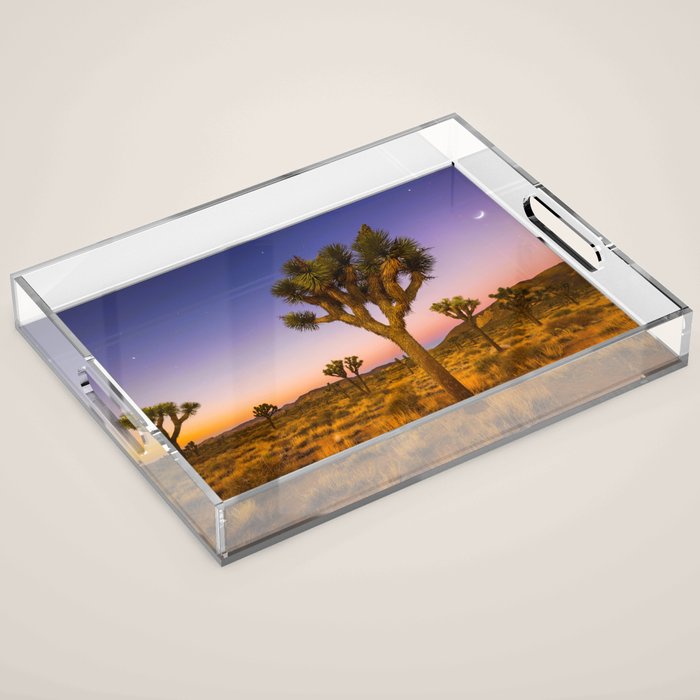 Twilight and half moon at Joshua Tree National Park, California Desert color photographic art print Acrylic Tray Gallery Image 1