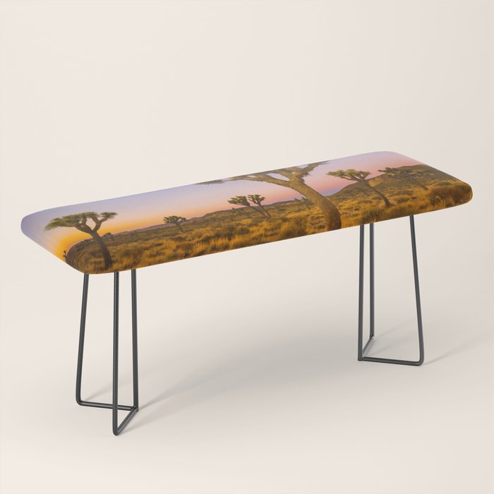 Twilight and half moon at Joshua Tree National Park, California Desert color photographic art print Bench Gallery Image 1