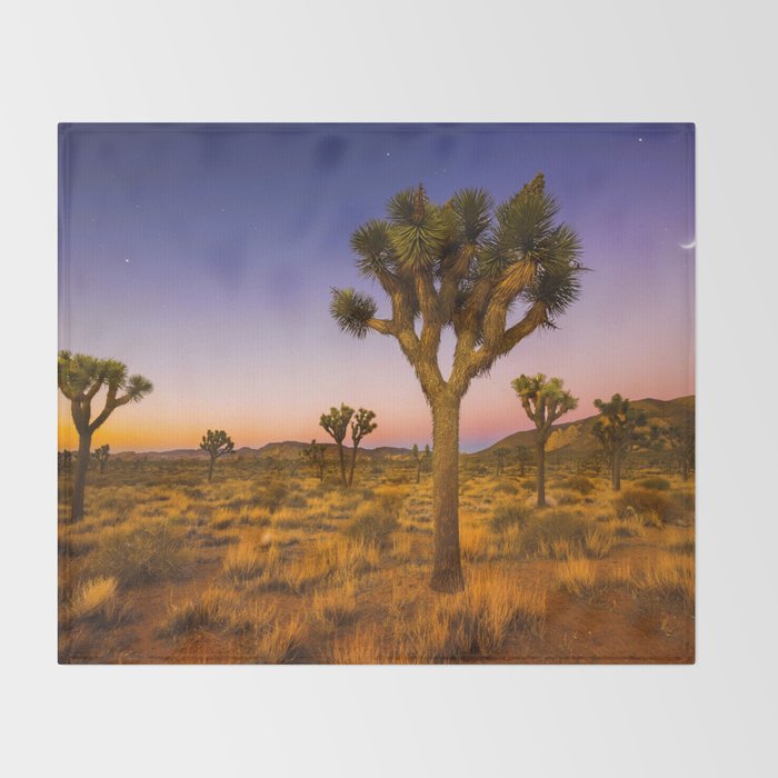 Twilight and half moon at Joshua Tree National Park, California Desert color photographic art print Throw Blanket Gallery Image 2