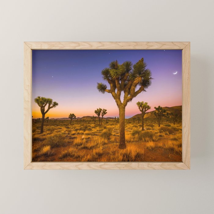 Twilight and half moon at Joshua Tree National Park, California Desert color photographic art print Mini Art Print Gallery Image 1