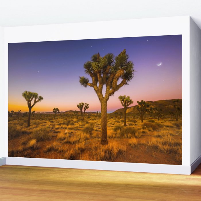 Twilight and half moon at Joshua Tree National Park, California Desert color photographic art print Wall Mural Gallery Image 2
