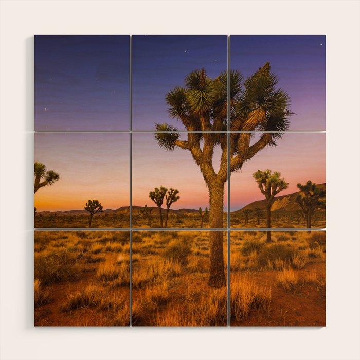 Twilight and half moon at Joshua Tree National Park, California Desert color photographic art print Wood Wall Art Gallery Image 1