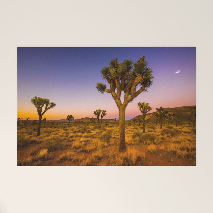 Twilight and half moon at Joshua Tree National Park, California Desert color photographic art print Welcome Mat Gallery Image 1
