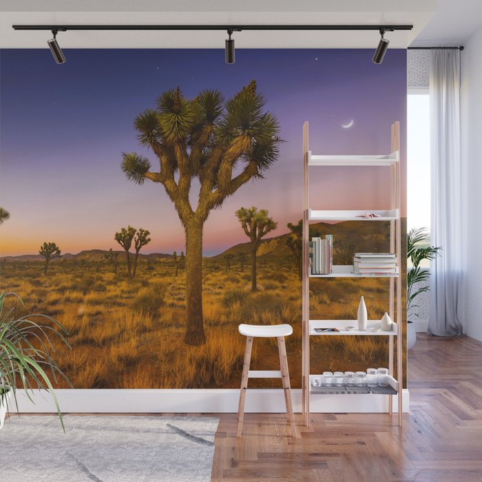 Twilight and half moon at Joshua Tree National Park, California Desert color photographic art print Wall Mural Gallery Image 1