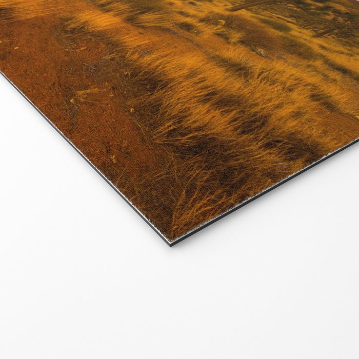 Twilight and half moon at Joshua Tree National Park, California Desert color photographic art print Welcome Mat Gallery Image 2