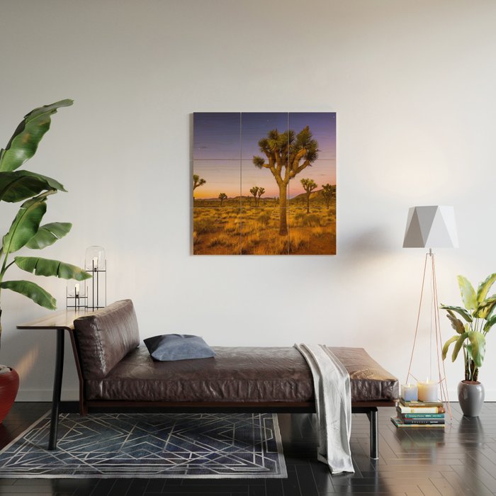 Twilight and half moon at Joshua Tree National Park, California Desert color photographic art print Wood Wall Art Gallery Image 2