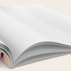 The Stare: Peach Cheetah Edition Notebook Gallery Image 2