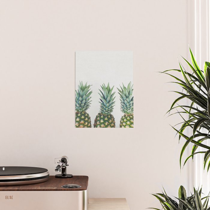 Pineapple Trio Poster Gallery Image 2
