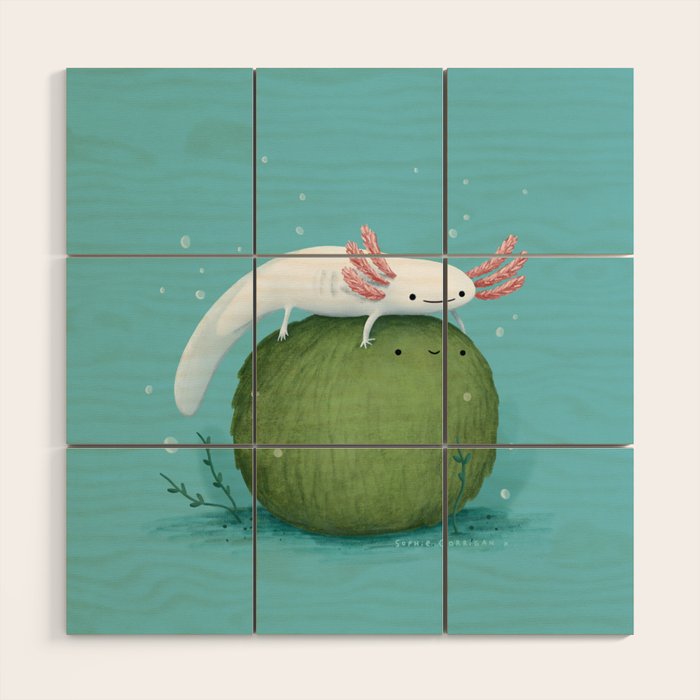 Axolotl on a Mossball Wood Wall Art Gallery Image 1