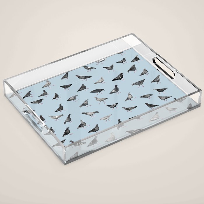 Pigeons Doing Pigeon Things Acrylic Tray Gallery Image 1
