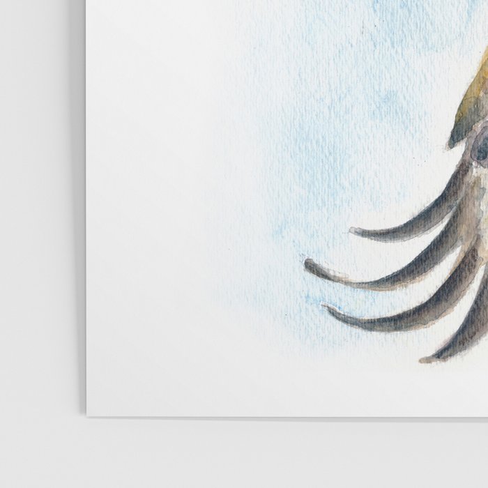 Red Tail Hawk Poster Gallery Image 3