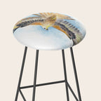 Red Tail Hawk Stool Gallery Image 2