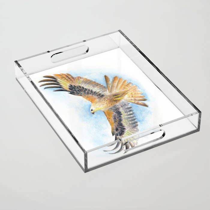 Red Tail Hawk Acrylic Tray Gallery Image 1