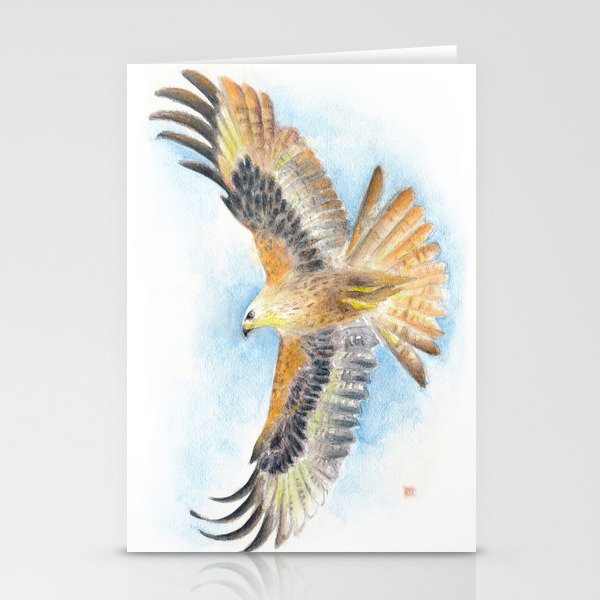 Red Tail Hawk Stationery Card Gallery Image 2