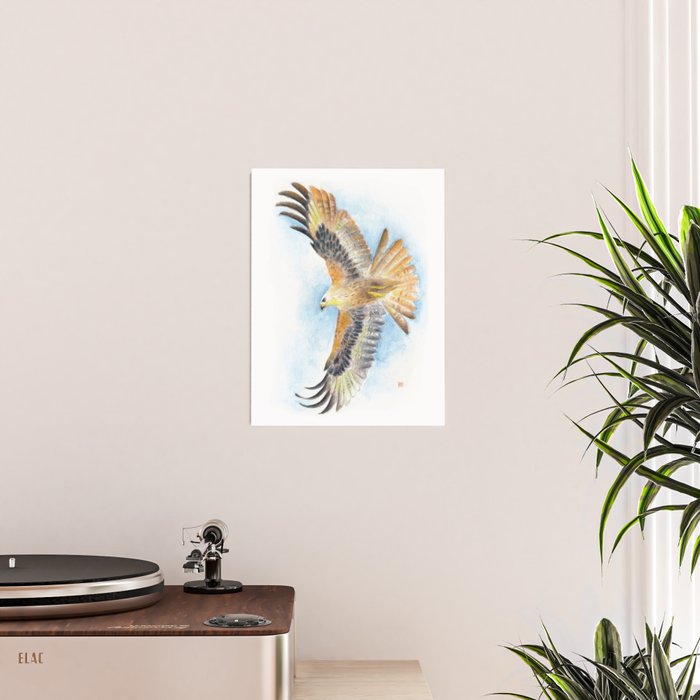 Red Tail Hawk Poster Gallery Image 2