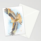 Red Tail Hawk Stationery Card Gallery Image 2