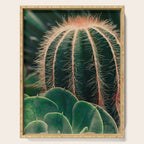 Cactus Study Serving Tray Gallery Image 1