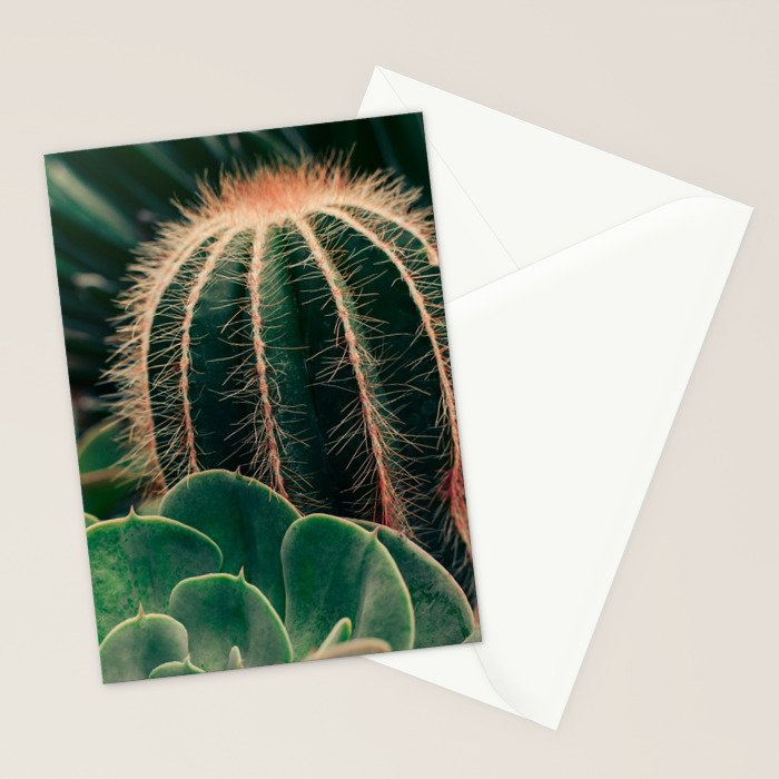 Cactus Study Stationery Card Gallery Image 2