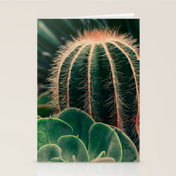 Cactus Study Stationery Card Gallery Image 1