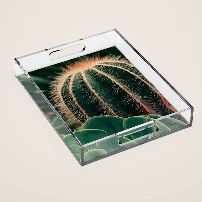 Cactus Study Acrylic Tray Gallery Image 1