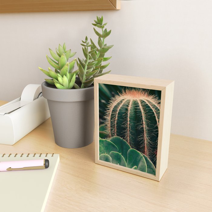 Cactus Study Mini Art Print Gallery Image 2