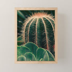 Cactus Study Mini Art Print Gallery Image 1
