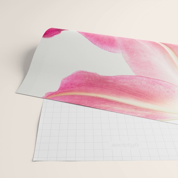Pink Petals - Flower Photography, Botanical Wrapping Paper Gallery Image 2