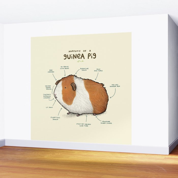 Anatomy of a Guinea Pig Wall Mural Gallery Image 2