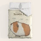 Anatomy of a Guinea Pig Comforter Gallery Image 6