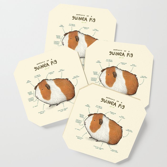 Anatomy of a Guinea Pig Coaster Gallery Image 1