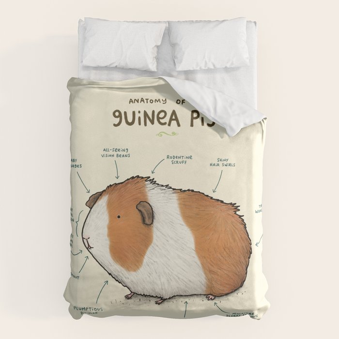 Anatomy of a Guinea Pig Duvet Cover Gallery Image 6