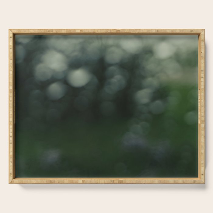 raindrop abstract photograph no. 2 - nature art photography Serving Tray Gallery Image 1