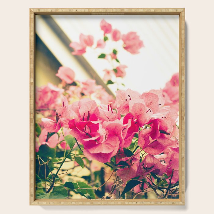 Bougainvillea 1 Serving Tray Gallery Image 1