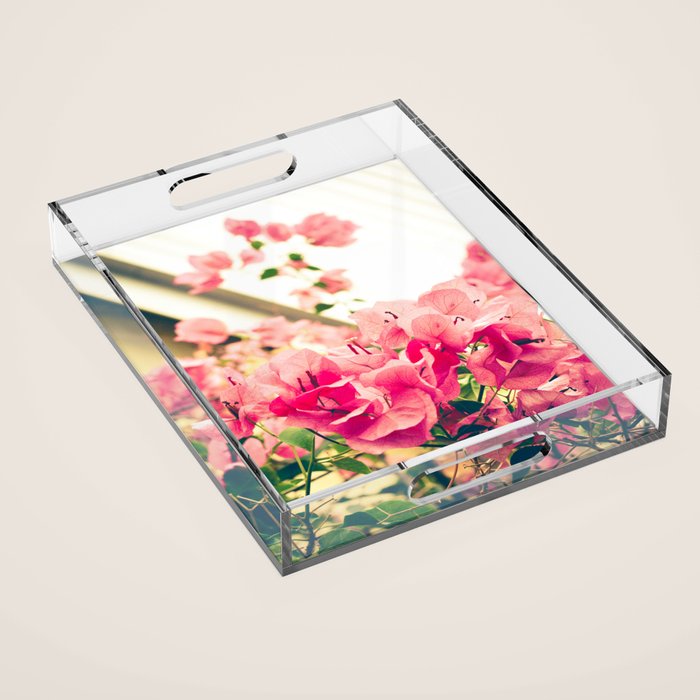 Bougainvillea 1 Acrylic Tray Gallery Image 1