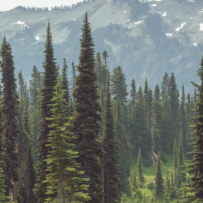 Escape to the Wilds - Nature Photography Coffee Mug Gallery Image 2