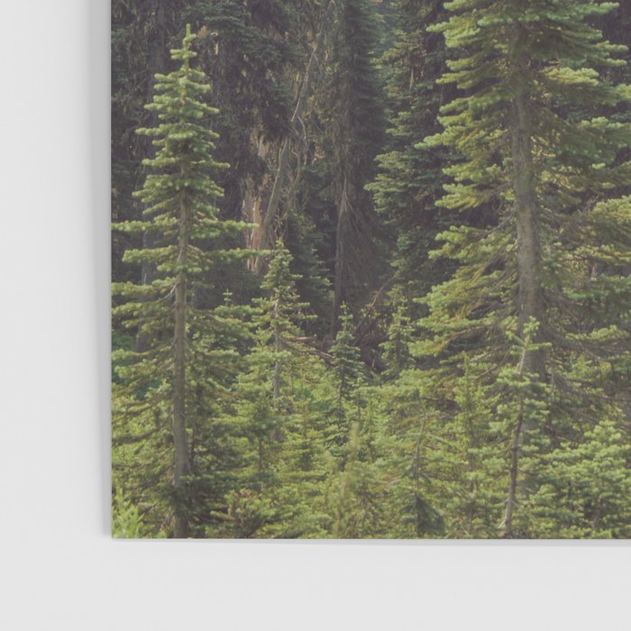 Escape to the Wilds - Nature Photography Poster Gallery Image 3