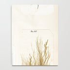 Specimens from "Algology: Algae and Corallines from the Bay & Harbor of New York," 1850 Notebook Gallery Image 4