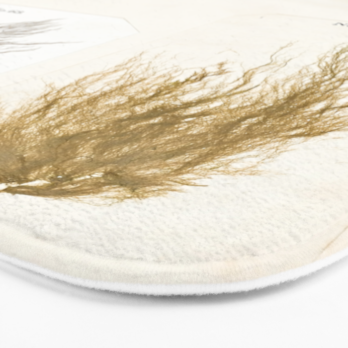 Specimens from "Algology: Algae and Corallines from the Bay & Harbor of New York," 1850 Bath Mat Gallery Image 3